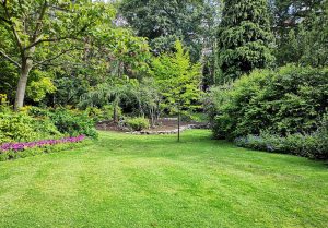 Optimiser l'expérience du jardin à Le Mesnil-Amand